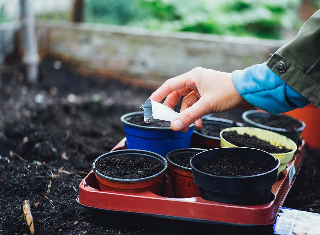 How to Compost: A Beginner's Guide
