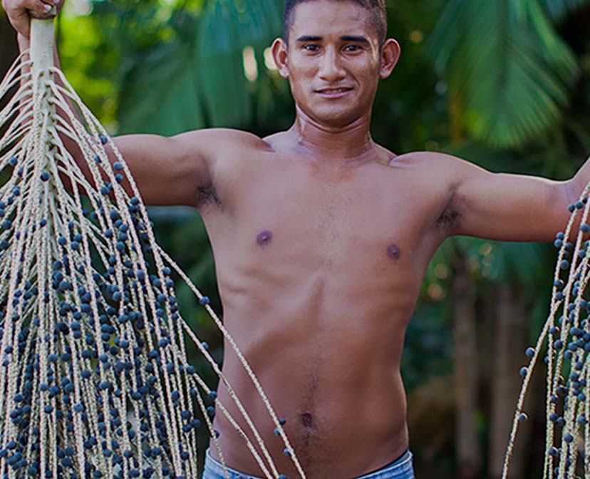 Zoomed in of Fair Trade Farmer holding Açaí branches