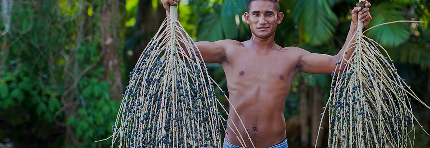 Fair Trade Farmer holding Açaí Branches